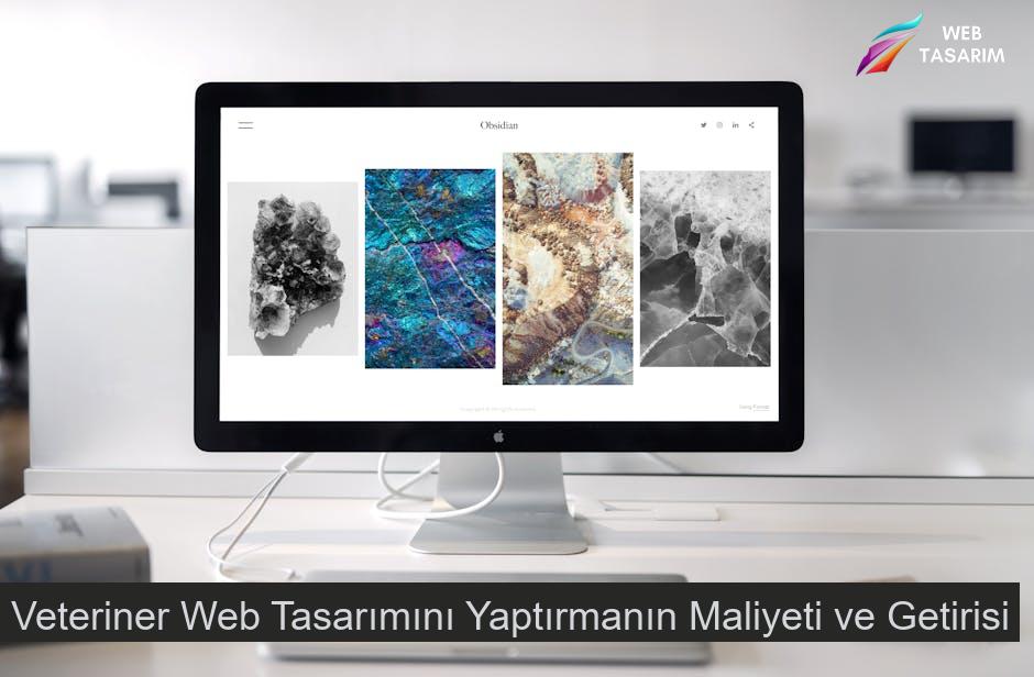 Veteriner Web Tasarımını Yaptırmanın Maliyeti ve Getirisi